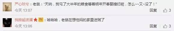 今天这只偷花生的老鼠火了，网友这次都站老鼠