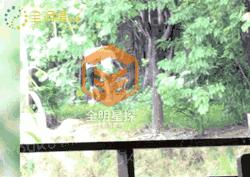 小宋佳的猛料,小宋佳往日时光