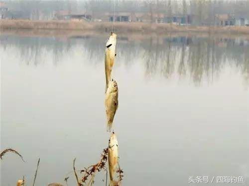 河里钓鱼走漂怎么办,湖库钓鱼如何克服走漂