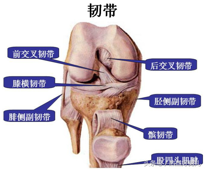 健身涨知识,健身增重小知识