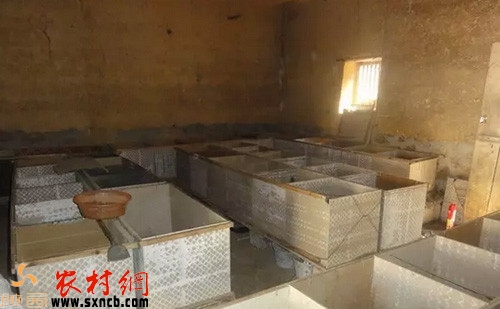 农村创业有哪些好点子,农村创业点子100例