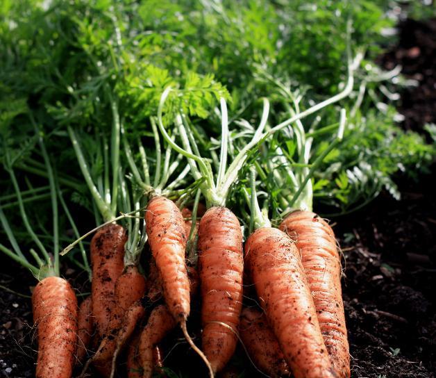 如果世界末日到来我们该如何逃生,如果世界末日来临寻找幸存者