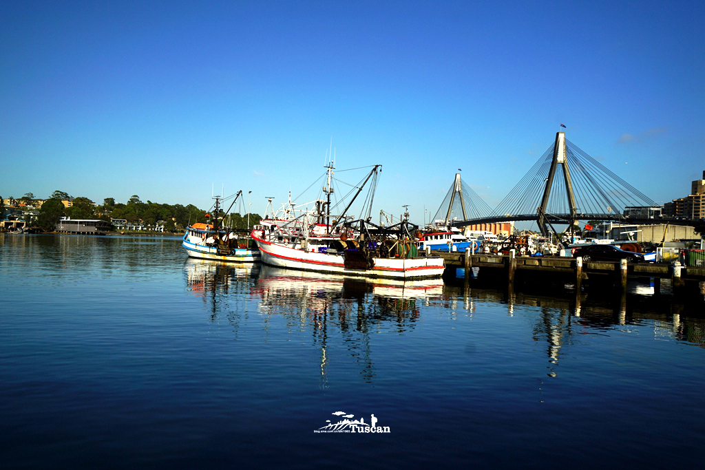 悉尼旅游攻略网红,怎么攻略悉尼
