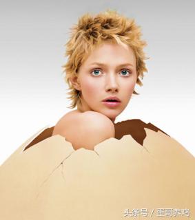 鸡病诊断与防治课件,鸡病快速诊断大全