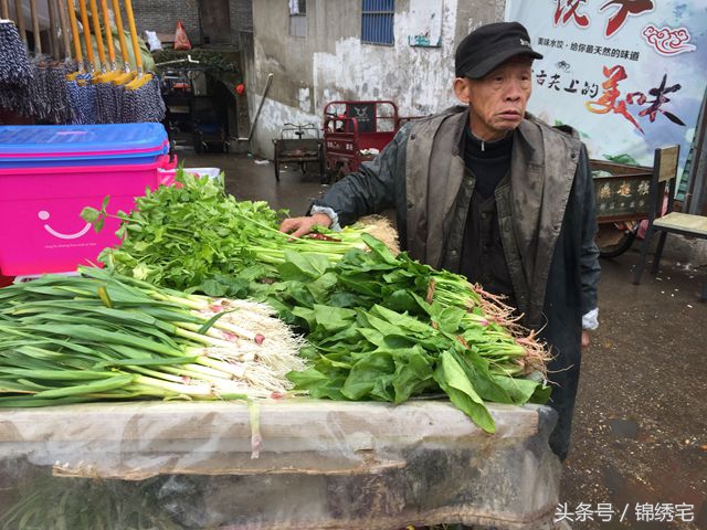 在北方不容易买到的时令蔬菜,这些特色蔬菜你见过吗