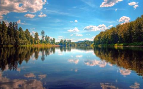 猴年热门的创业生意,新时代赚钱商机