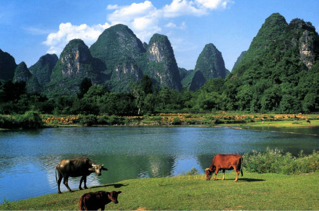 猴年热门的创业生意,新时代赚钱商机