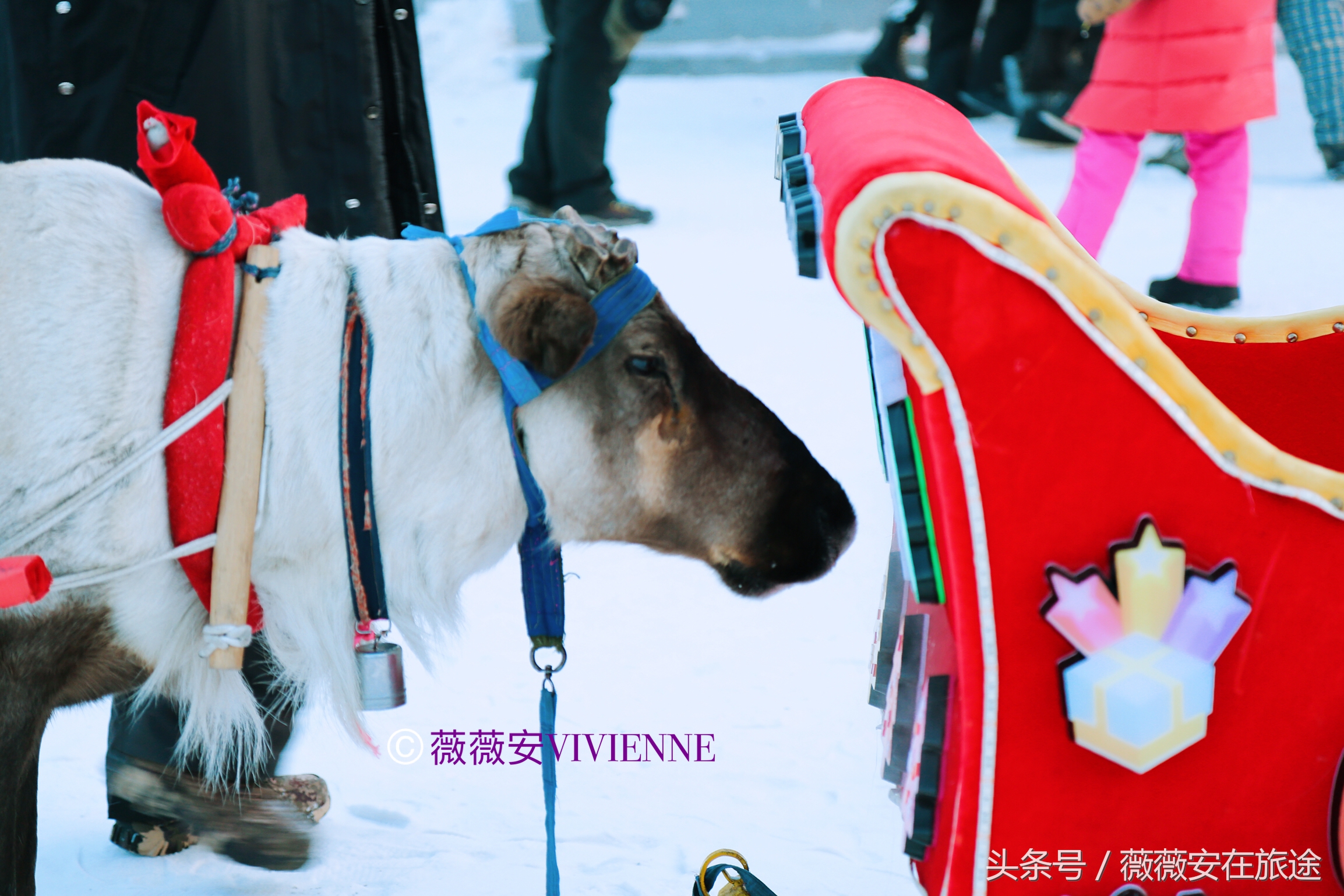 北国冰城之旅,奔赴冰城哈尔滨感受北国浪漫