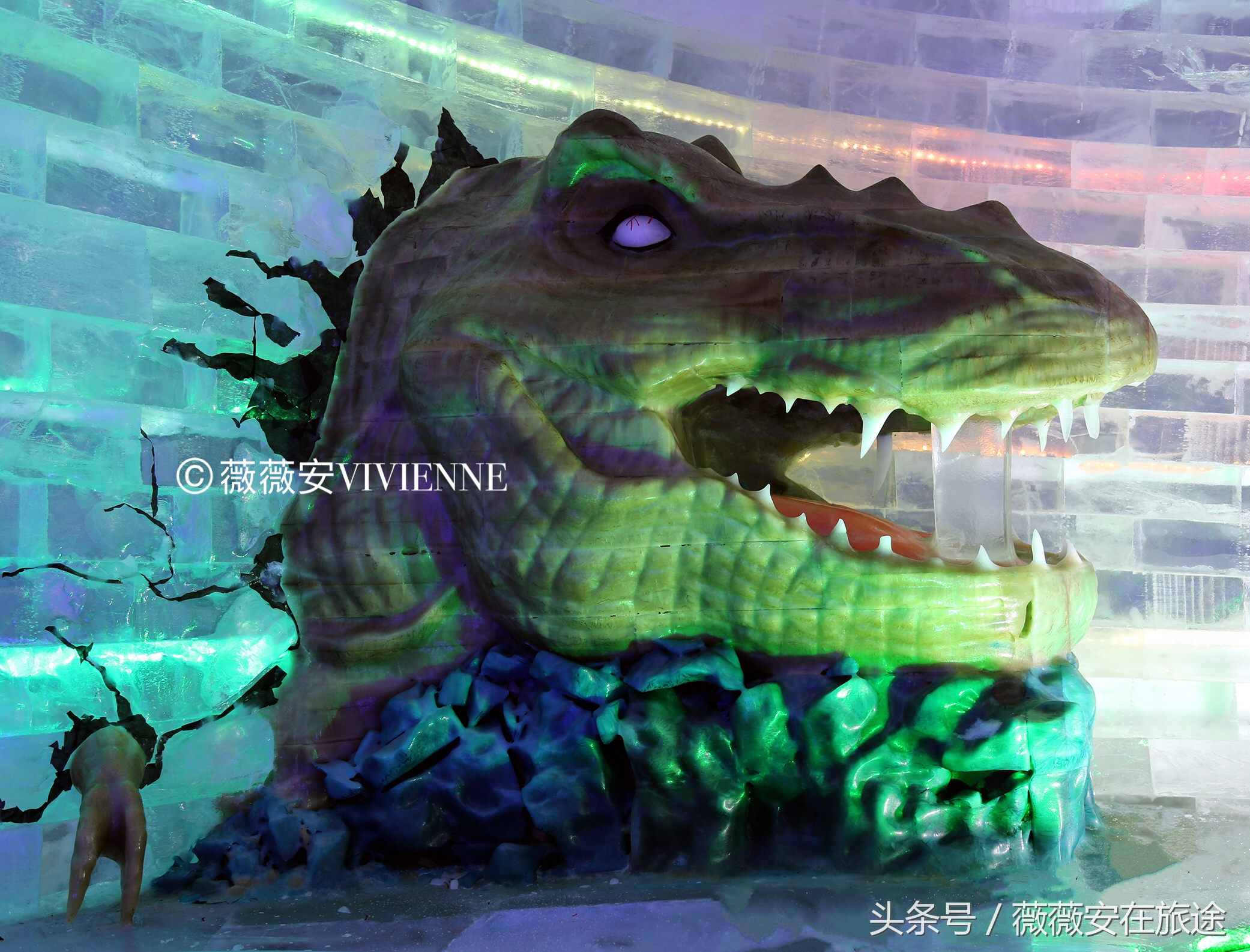 北国冰城之旅,奔赴冰城哈尔滨感受北国浪漫