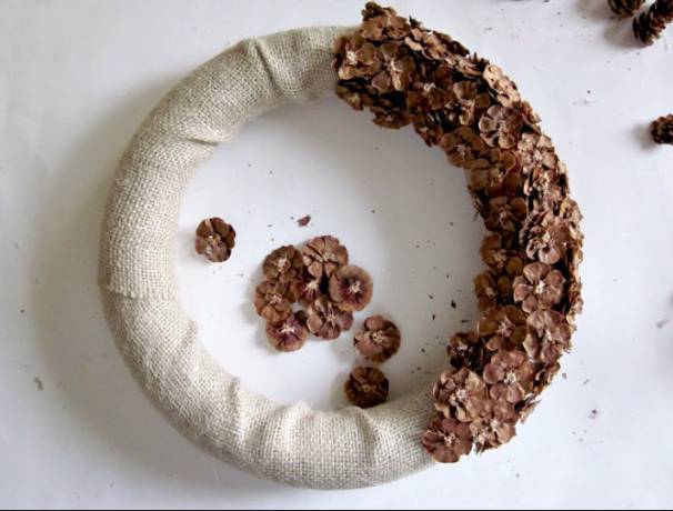 原来松果还可以这么美,原来红杉树也可以很美