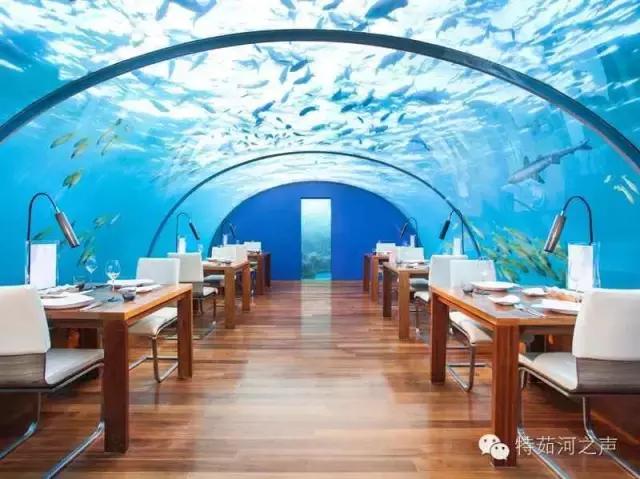 全球最漂亮的海上餐厅,全球十大最美海边餐厅