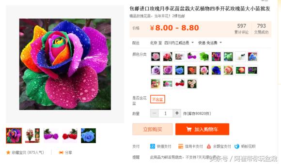 网购的小玫瑰盆栽能养活吗,网购收到玫瑰盆栽记得这样操作