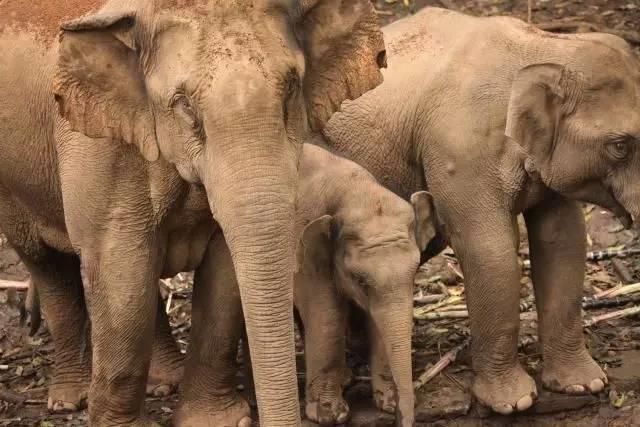 干货分享必读,干货探索与分享
