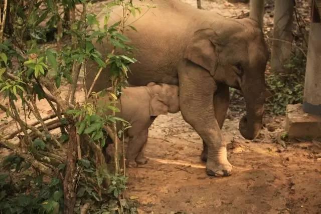 干货分享必读,干货探索与分享