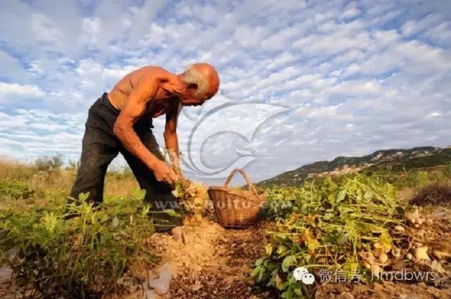 愿六零后的我们都优雅的老去,愿我们都能幸福到老