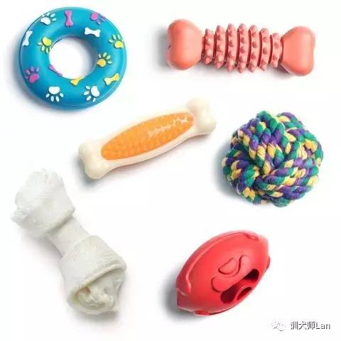 狗狗小时候喜欢咬鞋怎么办,怎么教狗狗不乱咬鞋袜