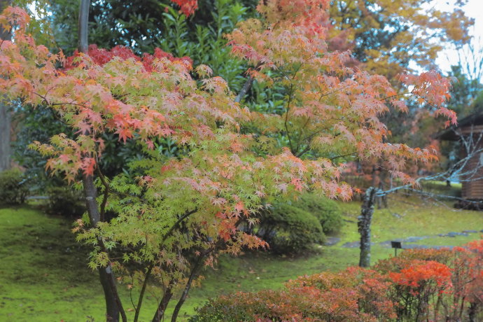 冬日和闺蜜出游,3天2夜的温泉之旅