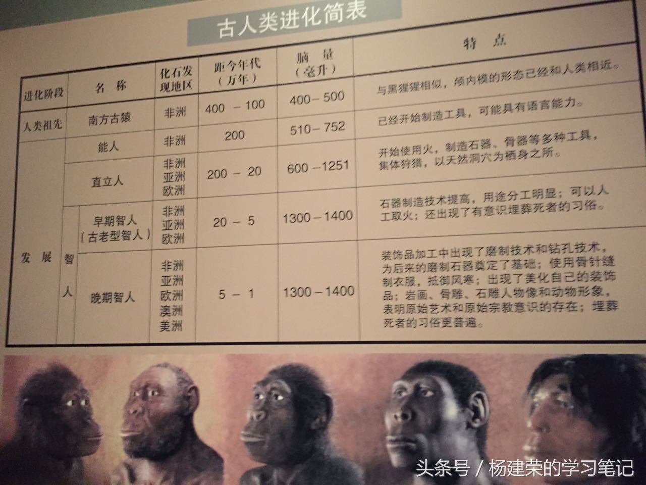 透过历史看历史（r11笔记第54天）