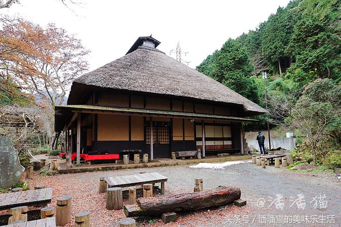 箱根温泉视频,箱根温泉深度解析