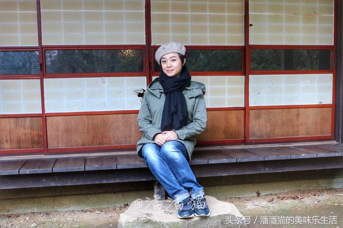 箱根温泉视频,箱根温泉深度解析