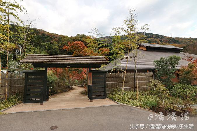 箱根温泉视频,箱根温泉深度解析