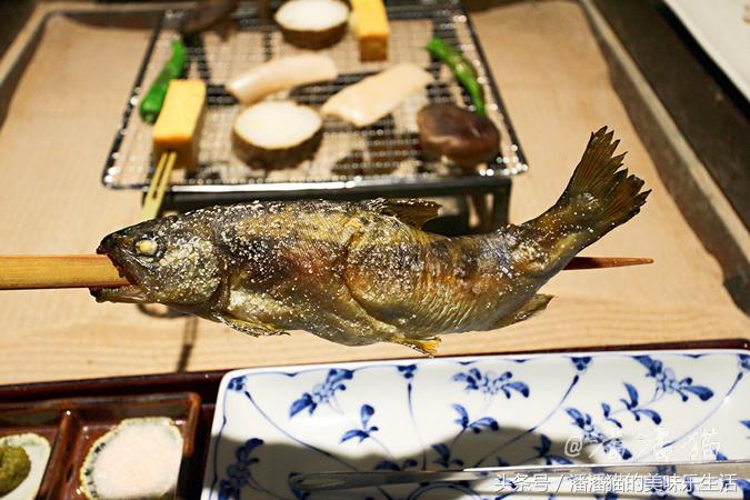 箱根温泉视频,箱根温泉深度解析