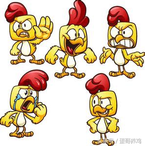 鸡病诊断与防治课件,鸡病快速诊断大全