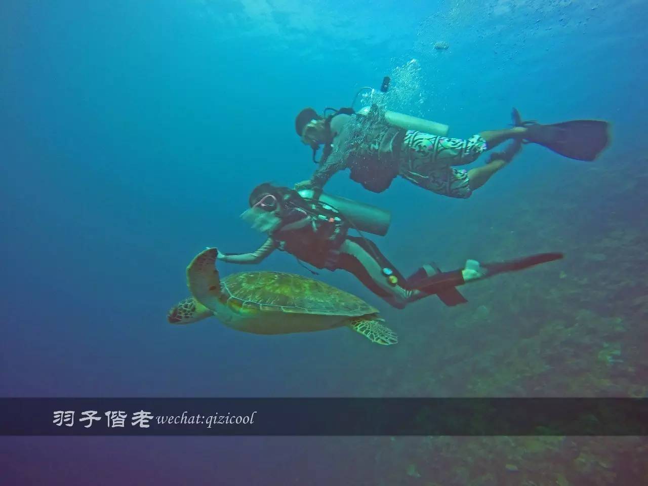 印尼美娜多旅游潜水攻略,印尼美娜多潜水圣地