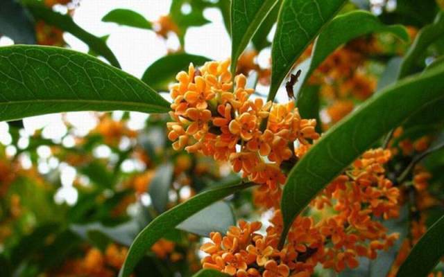 猴年热门的创业生意,新时代赚钱商机