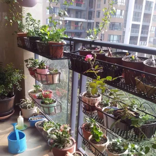 自己动手做花架一层,自己亲自动手做的花架就是好