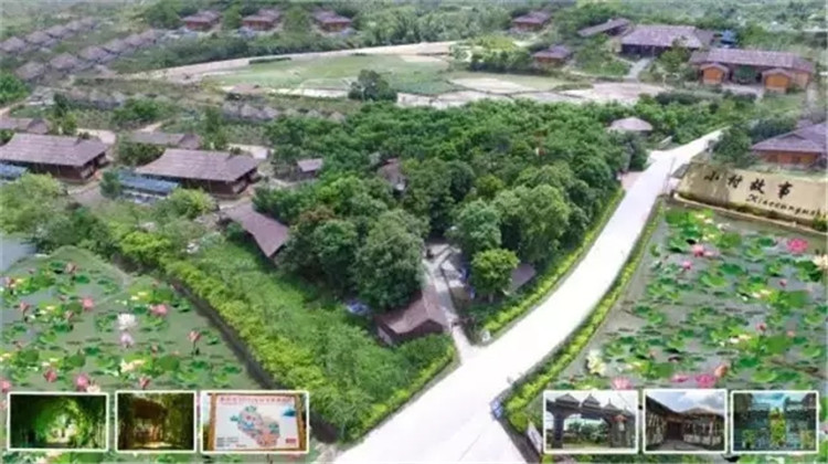 元旦北海好玩的地方,春节去北海还是去西双版纳好玩