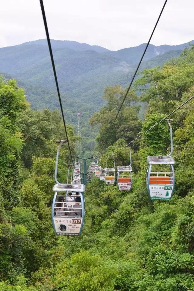 干货分享必读,干货探索与分享