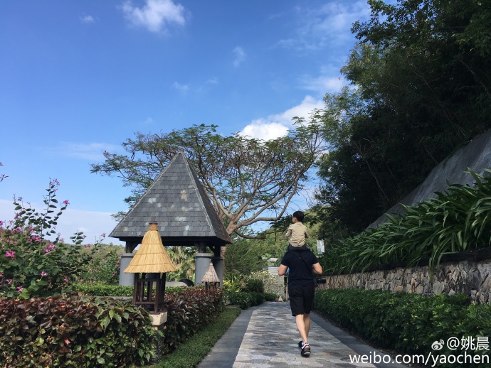 哪些明星有娃,盘点有孩子的明星名字