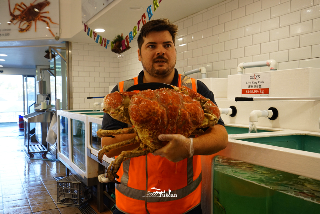悉尼旅游攻略网红,怎么攻略悉尼