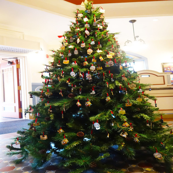 上海迪士尼免费门票领取攻略,上海迪士尼门票优惠攻略图