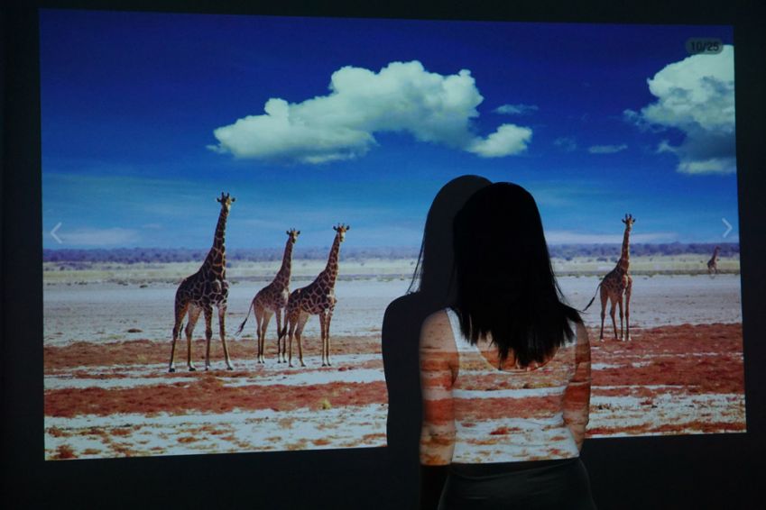 閰蜂箰瑙唓6s3s4鎶曞奖,閰蜂箰瑙唖3鎶曞奖