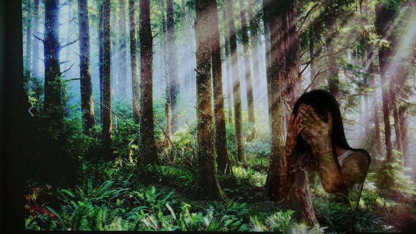 閰蜂箰瑙唓6s3s4鎶曞奖,閰蜂箰瑙唖3鎶曞奖