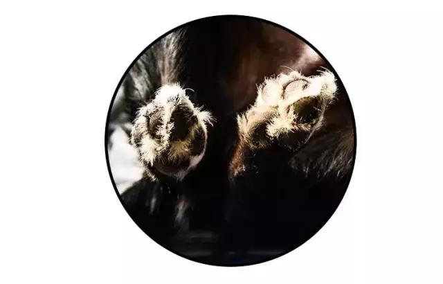 免洗泡沫推荐,免洗泡沫