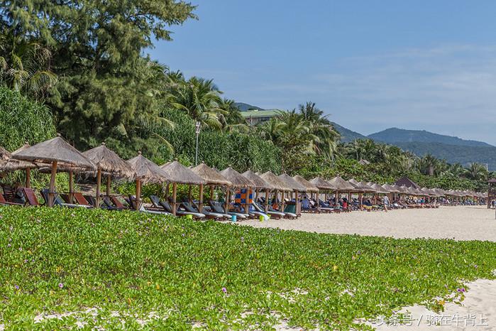 三亚美高梅度假酒店附近旅游路线,三亚美高梅度假亲子体验