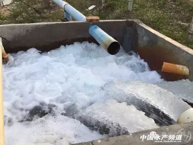 怎么降亚硝酸盐用物理方法,降亚硝酸盐的做法