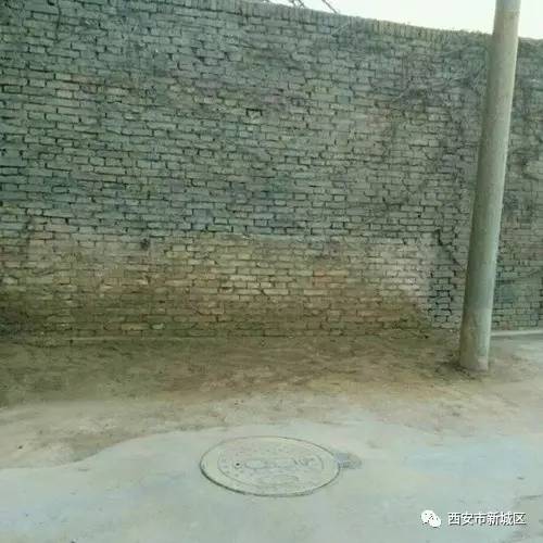 院长大搞翻新改造工程,院长翻天覆地的生活