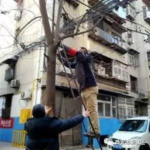 院长大搞翻新改造工程,院长翻天覆地的生活