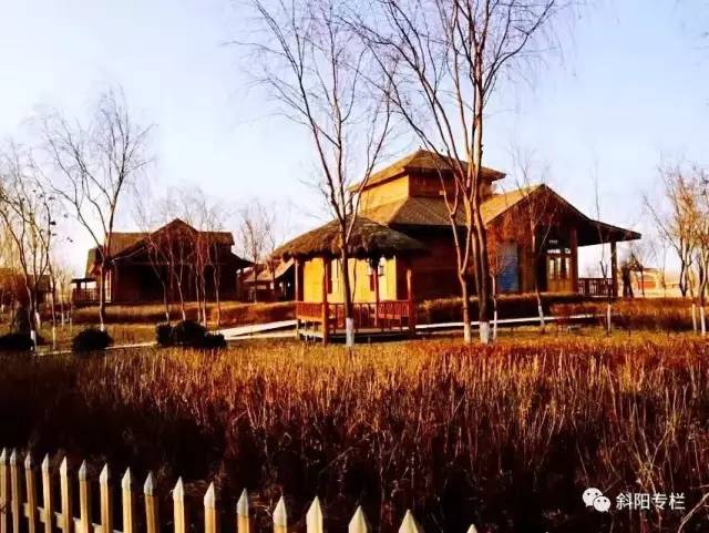 金沙岛怎么样,金沙洲热门话题