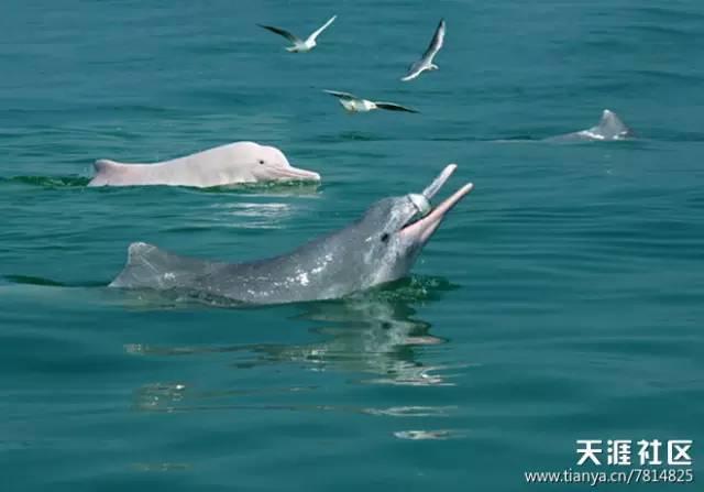 广西自驾游路线推荐2天,广西自驾游路线推荐3-4天自由行