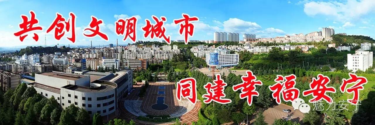 安宁南亚国际陆港,未来安宁太平片区规划