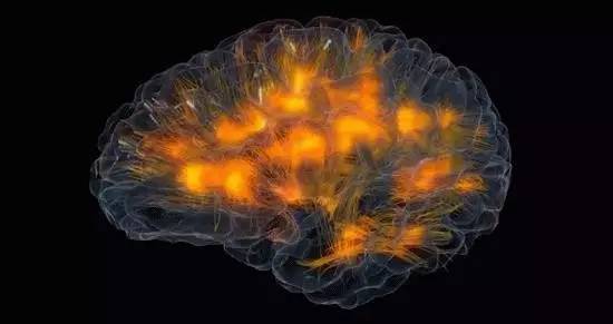 有办法加快新陈代谢吗,新陈代谢好的人怎么减肥