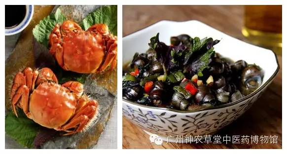 六种调料不适合宝宝,什么调料适合儿童吃