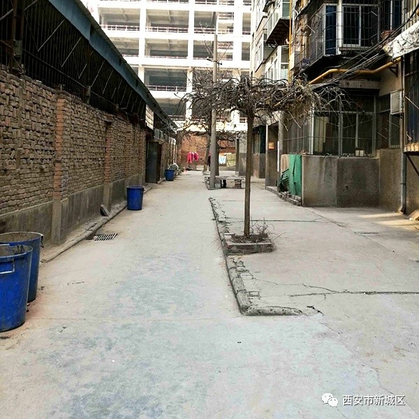 院长大搞翻新改造工程,院长翻天覆地的生活