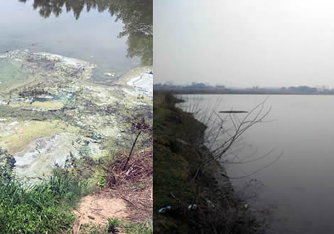 非法养殖被警方抓获,公安打击非法饲养