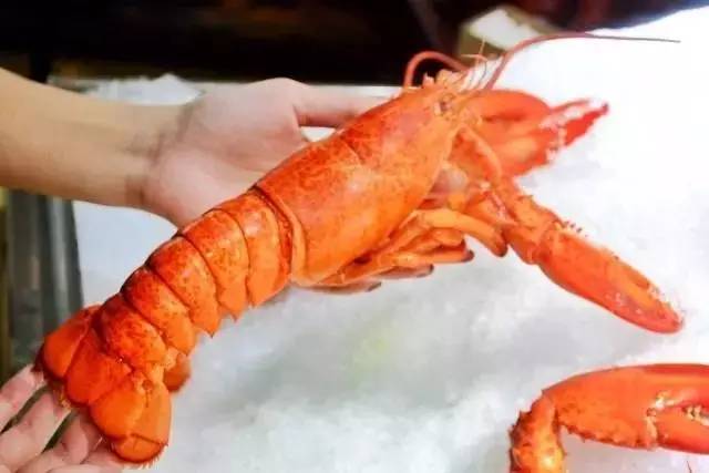 「订年夜饭赠波士顿龙虾」2017这么吃年夜饭最霸气！从没想过一顿自助，竟然吃几口就回本了……谁也别拦着我！今年就要在这儿吃！